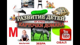 Сборник! НОВЫЕ Карточки Домана, Детеныши животных, Цветы, Грибы, Еда, Ванна, Деревья, Цвета Сборник! НОВЫЕ Карточки Домана, Детеныши животных, Цветы, Грибы, Еда, Ванна, Деревья, Цвета