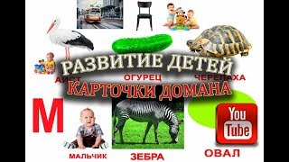 🌻Сборник!🌟 НОВЫЕ Карточки Домана,🧸 Детеныши животных, ⚽Цветы, Грибы, Еда, Ванна, Деревья, 🦋Цвета