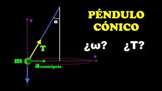 PÉNDULO CÓNICO: calcular la tensión y la velocidad angular. Dinámica. Bachillerato