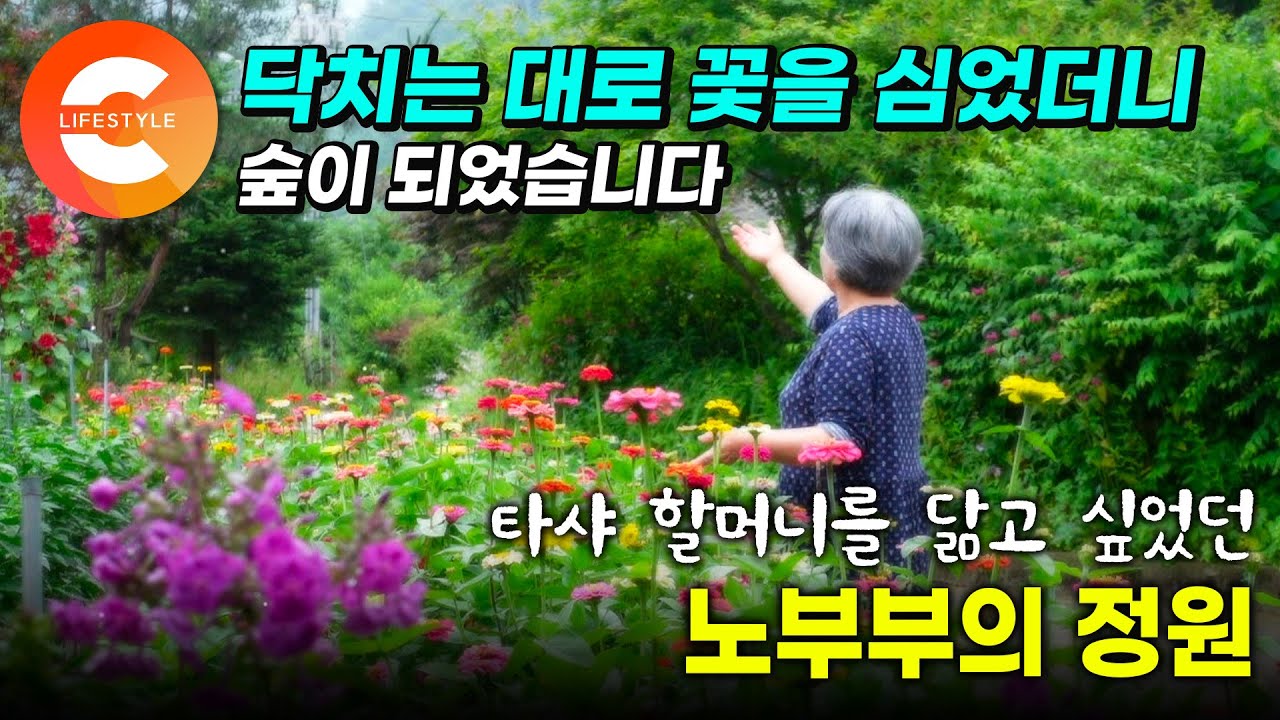 오래된 아파트 화단으로 대리만족하던 부부. 땅이 생기자마자 정원을 꽃으로 도배하고 닥치는 대로 심었더니 이렇게 됐습니다🌳 노부부의 숲이 된 정원 / EBS 가드닝컬렉션