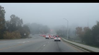 Day 145 Tesla Ruby A Bright Light in the Fog