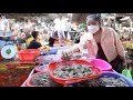 Market show, Buy prawn from the market for cooking / yummy prawn cooking