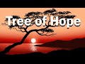 Relax Music Beats - Tree of Hope - Lofi Chill Jazzy Beats to Study, Work and Relax