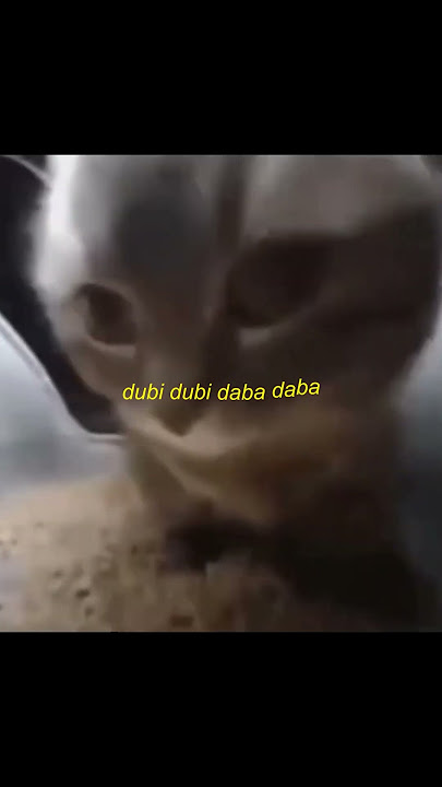 chipi chipi chapa chapa dubi dubi daba daba