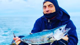 Shore Jigging in south Italy - Atlantic Bonito TRIS