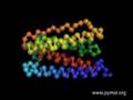 GCSF Protein Folding Illustration Movie