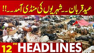 Preparations for Eid ul Adha Intensify | Cattle Markets Open Across Lahore | 12 PM News Headlines