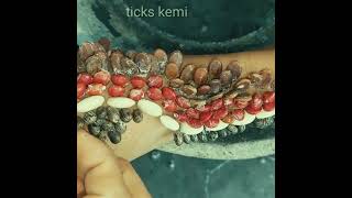 Rotate the wristband for easier tick removal#126 #asmr
