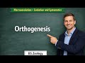 Orthogenesis in urdu/hindi | Macroevolution | Evolution | BS Zoology 