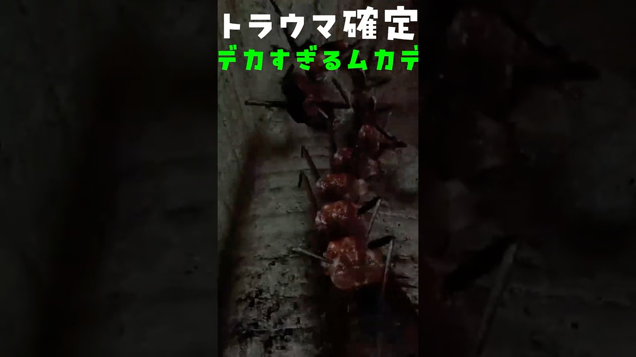 絶叫したトラウマ確定ホラーゲーム