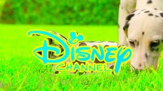 Disney Playhouse Bumper Junior Promo ID Ident Compilation (111)