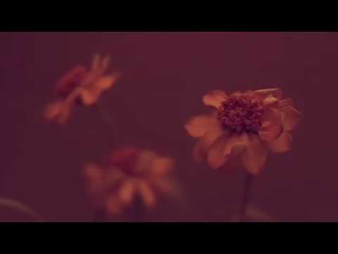 flumpool 「花になれ」 cover