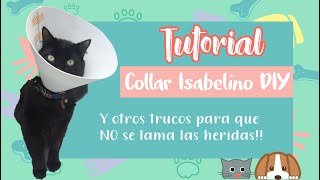 Tutorial Collar Isabelino para  y : EL MÁS FÁCIL Y RÁPIDO