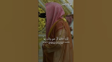 ما تيسر من سورة إبراهيم | تلاوة فضيلة الشيخ د.#عبدالله_القرافي