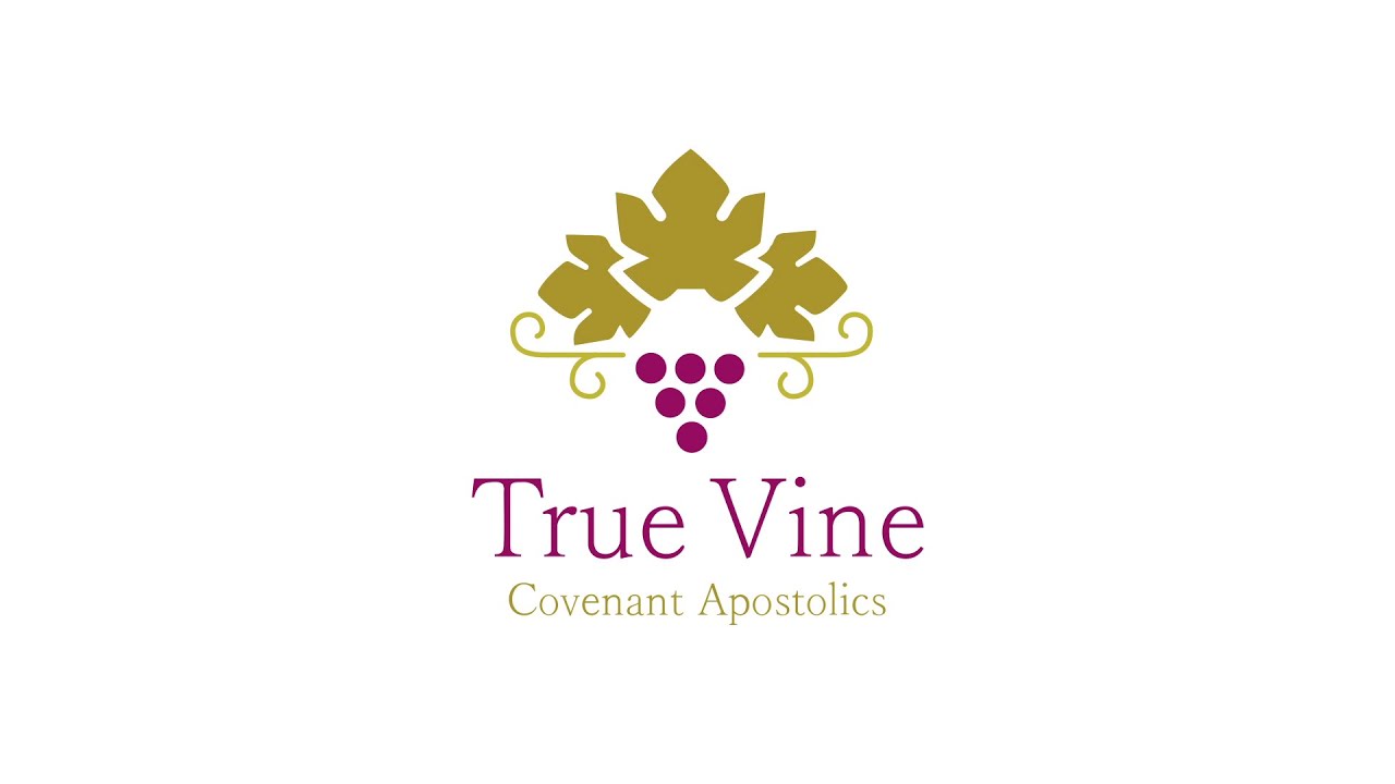 Apostolic Mindset | TVCA