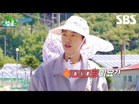 [예고] 영웅이 웃음기 싹 사라지게 만든 1000평 양파밭😱 그리고 처음 밝히는 임영웅의 속마음?! | 산골총각 영웅 | SBS