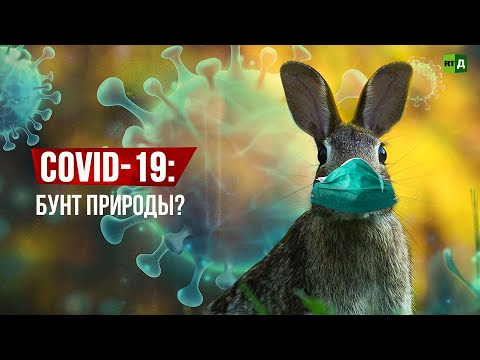 COVID-19: бунт природы?