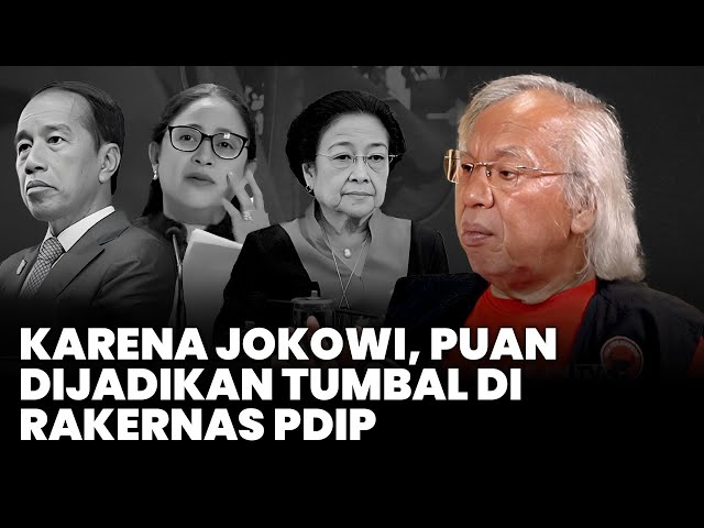 PANDA NABABAN : PDI PERJUANGAN BUKAN OPOSISI !!! class=