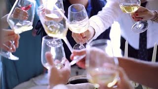 Clinking Glasses Stock Video