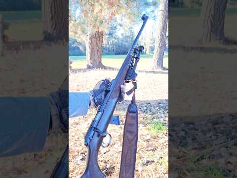 CZ 457 🎯 First time with CCI Mini Mag #cz457 #shorts #shortsfeed #22lr #viral #22longrifle #caza