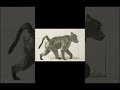Baboon Walking on All Fours (1887) Eadweard Muybridge