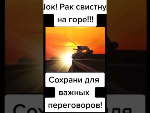 шок рак на горе!!!свистнул сохрани для важны переговоров - YouTube