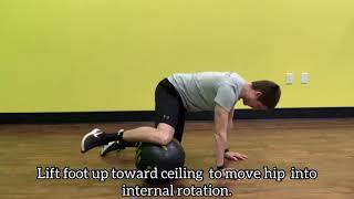 Fire Hydrant Hip Internal Rotation
