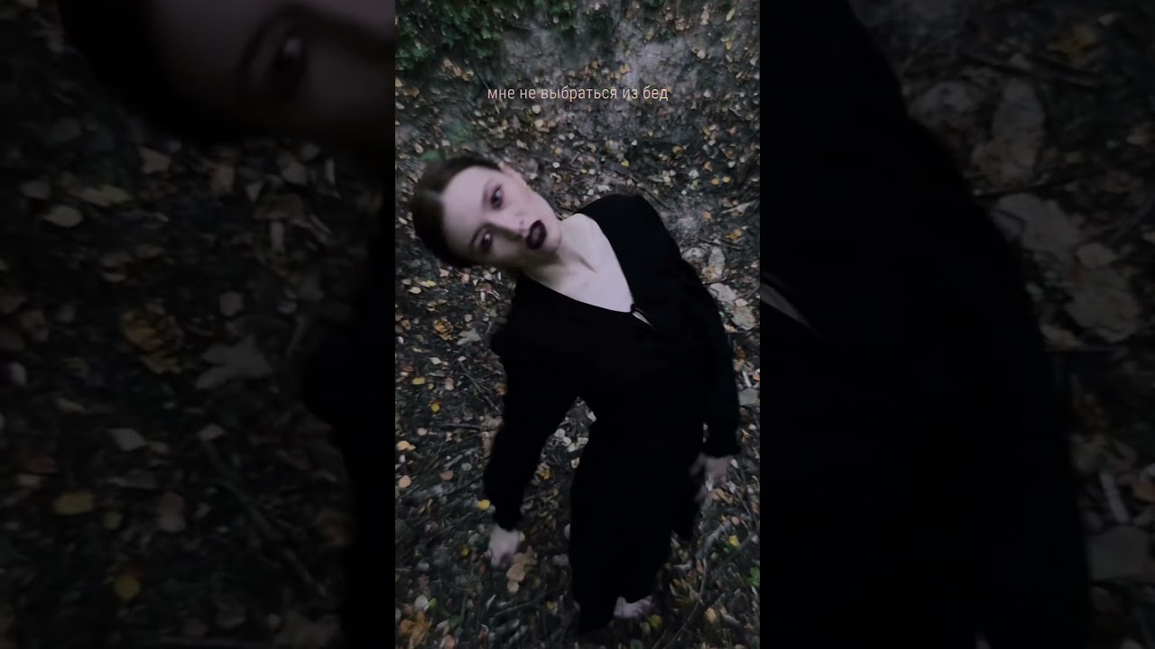 «зверь» на всех цифровых площадках! 