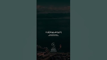 #الشيخ_محمد_صديق_المنشاوي #قرآن_كريم #quran #الشيخ_المنشاوي #سورة_الروم #لا_اله_الا_الله #foryou