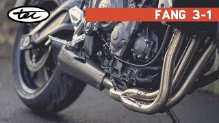 NEW Fang 31 Exhaust System  Trident 660 & Tiger 660