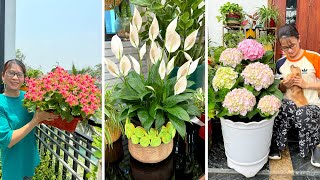 видео: Простые способы ухода за растениями в контейнерах, чтобы они оставались зелеными и цветущими картинка: Простые способы ухода за растениями в контейнерах, чтобы они оставались зелеными и цветущими