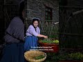 The Secret of Mountain Life: Why Are Traditions Healthier? #masukberanda #slowliving #flowers #fypシ