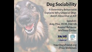 Dog Sociability –a veterinary behaviorist explains why unsocial dogs aren’t abnormal at all! 52122