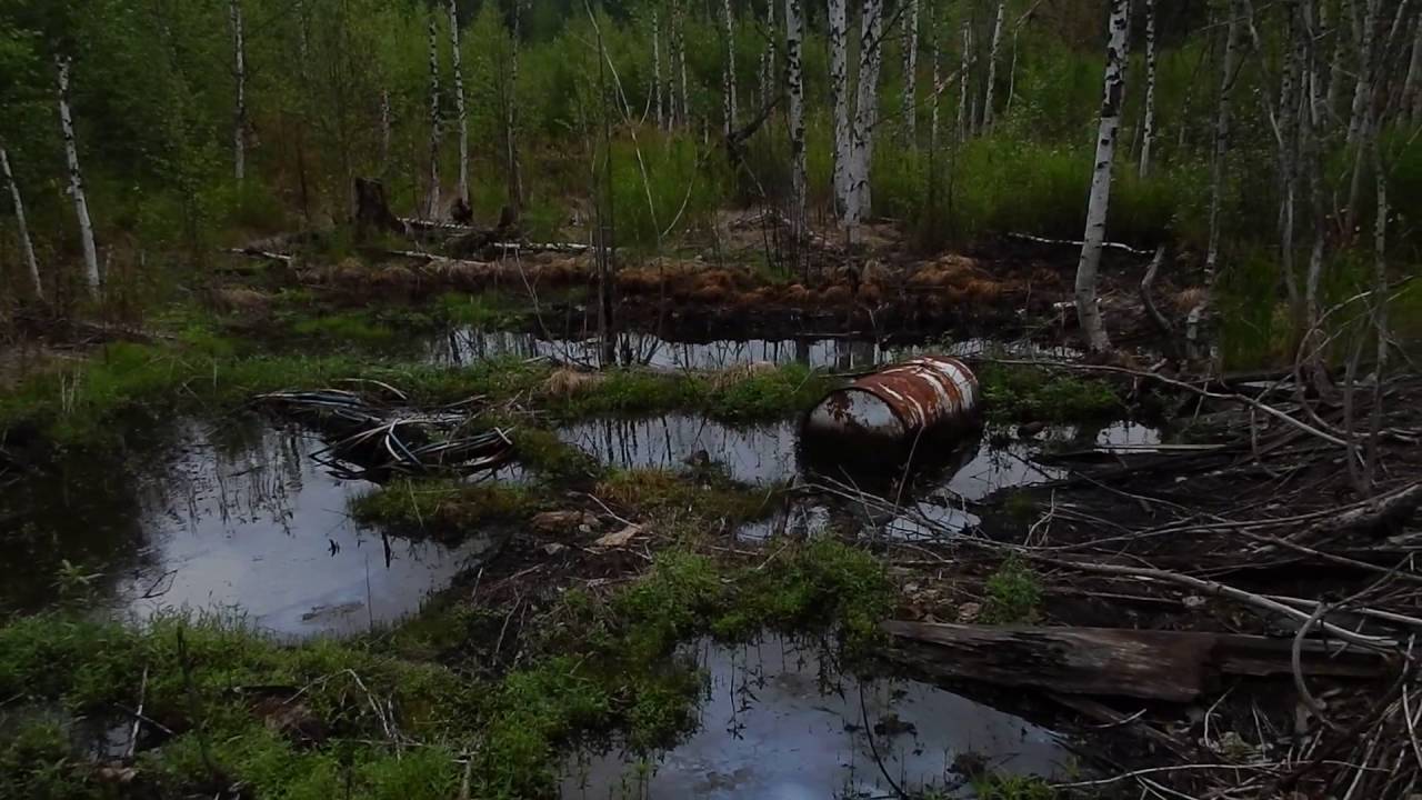 Накопленный экологический вред. Объекты накопленного экологического ущерба. Накопленный экологический ущерб. Накопленный вред окружающей среде. Объекты накопления вреда окружающей среде.