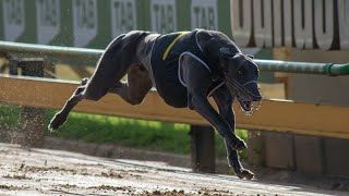 SAP SUN 07 APR 19 R6