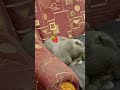 2 часть