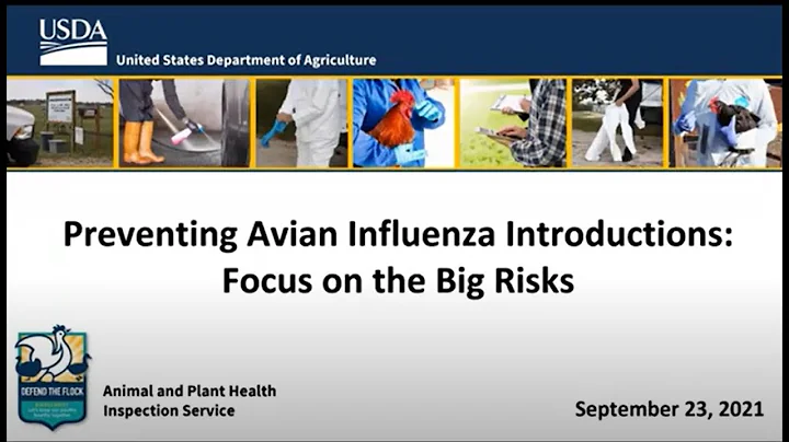 Defend the Flock: Preventing Avian Influenza Introductions: Focus on the Big Risks