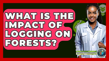 What Is The Impact Of Logging On Forests? - Earth Science Answers