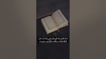 سورة يوسف #اكسبلور #دعاء_مستجاب #لايك #ترند #قران_كريم #تصويري #راحة_نفسية #دعاء_مستجاب_باذن_الله