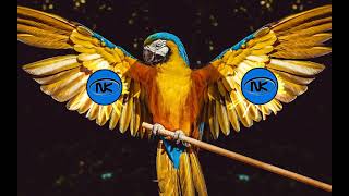 DjNek ft  Pantazis - O Papagalos  Funny Partystarter Remix