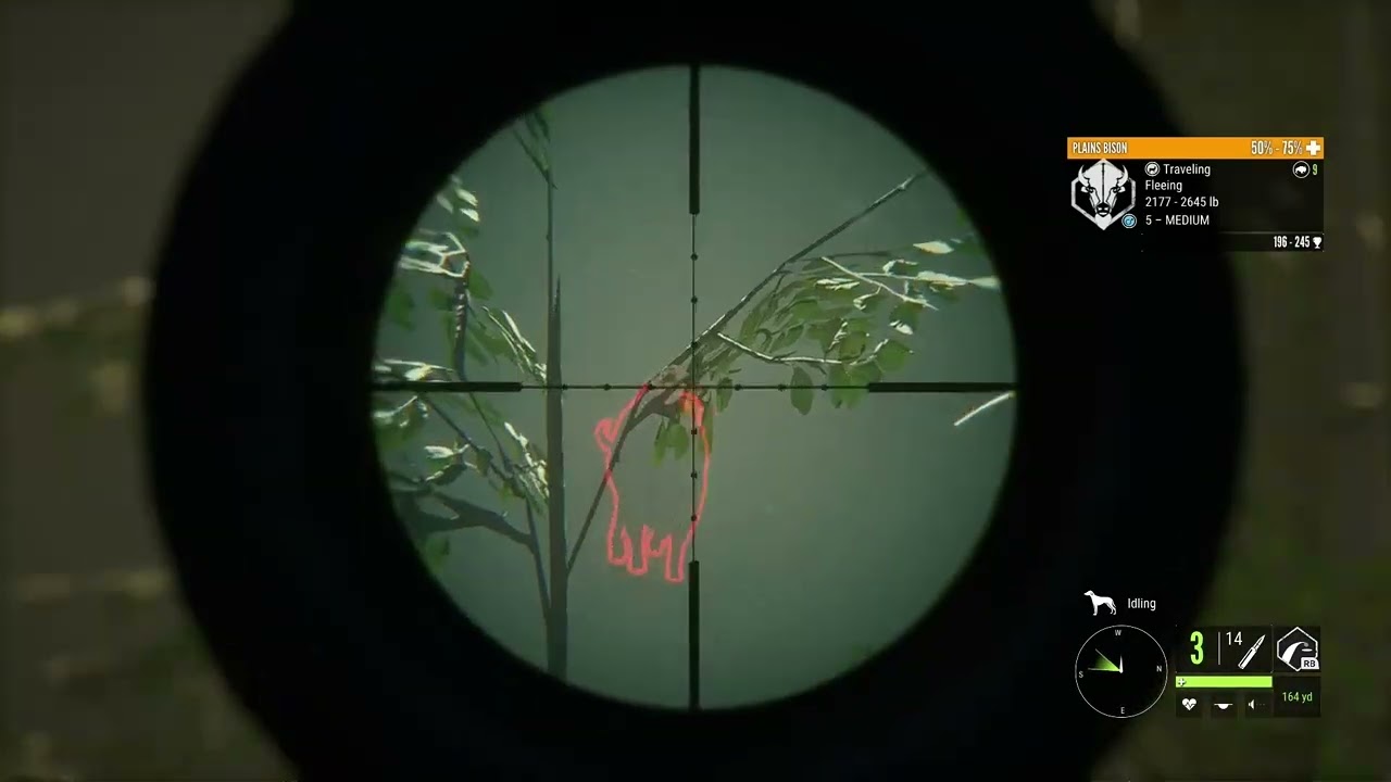 Diamond bison YouTube