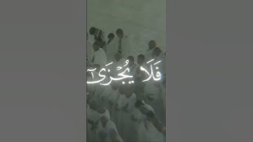 الشيخ ياسر الدوسري سورة غافر تلاوة خاشعه❤️ #اكسبلور #المصحف #voiceeffects #ترند_تيك_توك #تيك #قرآن