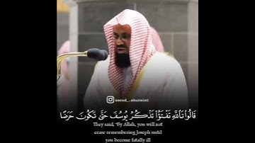 قرآن كريم بصوت القارئ سعود الشريم تلاوة هادئ ارح قلبك 💚🌿حالة واتس اسلامية /ستوريات انستغرام