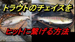 イワナとヤマメはチェイスをヒットに持ち込むための対処法が違います！の解説