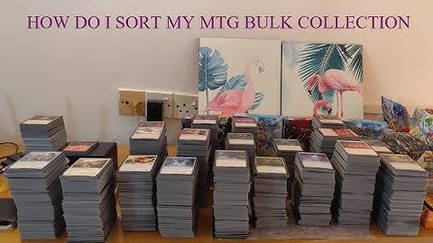 How Do I Sort My MTG Bulk Collection