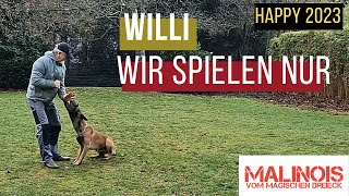 Wir Spielen Nur Ein Wenig - Und Lernen Dennoch Dabei Der Malinois