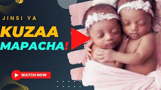 JINSI YA KUPATA MIMBA YA MAPACHA