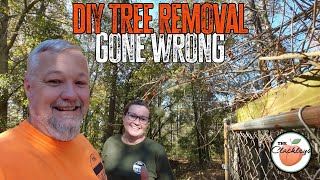 DIY tree removal gone wrong..