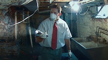 Mold infestation: my Home is Making me Sick!