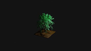 Blender: Intro to sculpting || Plant setup Part 1